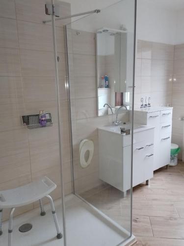 a bathroom with a glass shower and a sink at scheels-ferienwohnung in Stolberg