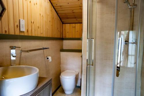 uma casa de banho com um lavatório, um WC e um chuveiro em Wooden tiny house Glamping cabin with hot tub 1 em Tuxford