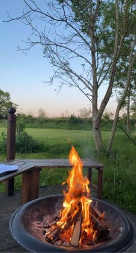 a fire pit in front of a picnic table at Wooden tiny house Glamping cabin with hot tub 1 in Tuxford