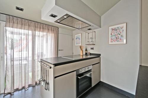 Il comprend une cuisine équipée d'une cuisinière et d'un évier. dans l'établissement Le Saint-Laurent - Parking Gratuit - Terrasse - Wi-Fi, à Avignon