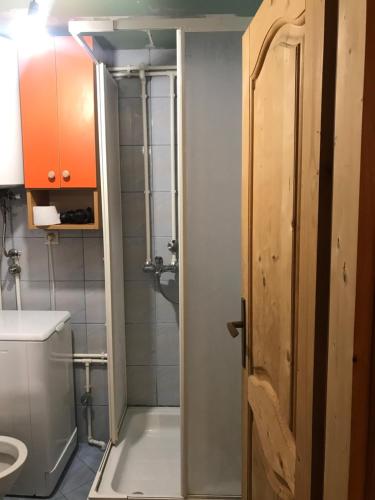 baño con ducha, aseo y puerta en Anja rent house en Žabljak