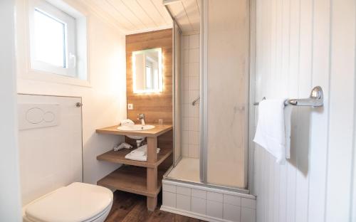 een badkamer met een douche, een toilet en een wastafel bij Haus in der Innenstadt 'Gröde', Große Straße in Wyk auf Föhr