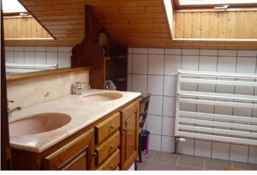uma casa de banho com 2 lavatórios e um chuveiro em Chalet En Pleine Nature Vogienne em Ramonchamp