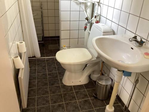 een badkamer met een toilet en een wastafel bij Holiday home Olofström IV in Olofström