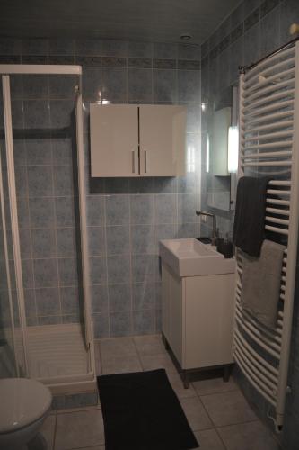 uma casa de banho com um lavatório, um chuveiro e um WC. em maison de bourg en pierre em Saint-Maurice