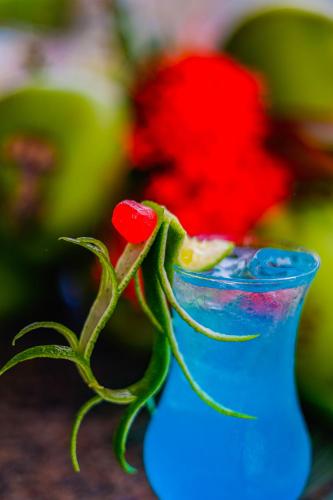 a blue vase with a red flower in it at Pousada Polymar in Maragogi