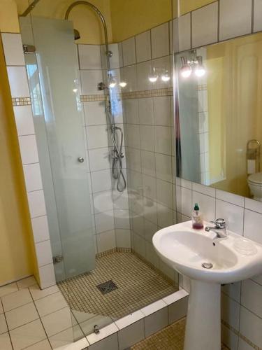 une salle de bain avec un lavabo et une douche en verre dans l'établissement View on Saint Emilion, à Pujols-sur-Ciron