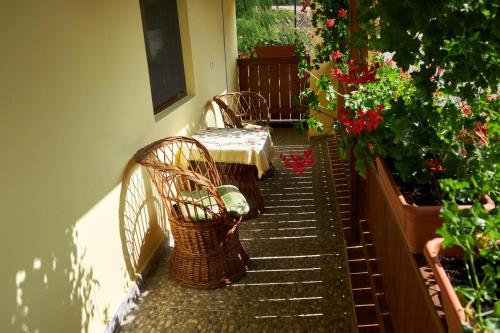a patio with two chairs and a table and flowers at Casa Ciobanca in Vadul lui Carol II