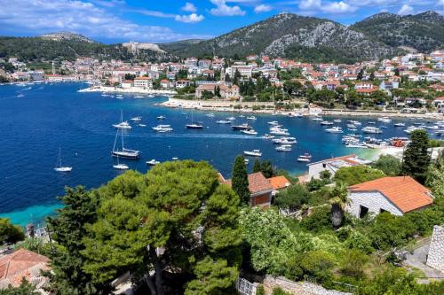 Rinada - ZF Hvar