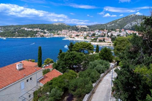 Rinada - ZF Hvar