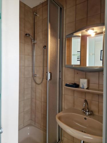 La salle de bains est pourvue d'un lavabo et d'une douche. dans l'établissement LandGASTHOF Rose, à Dammbach