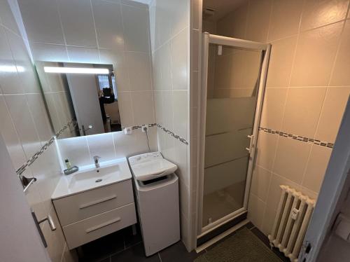 een kleine badkamer met een wastafel en een douche bij Le P'tit Gris in Rochefort