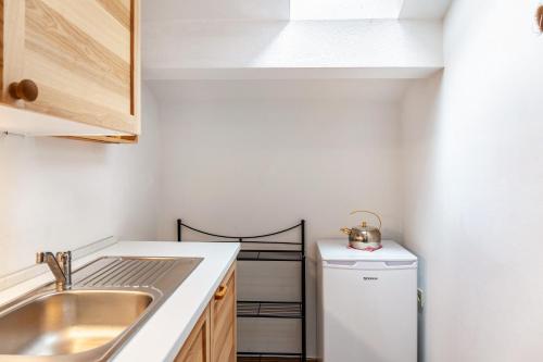 a small kitchen with a sink and a dishwasher at Ferienwohnung Bergblick in Unterammergau