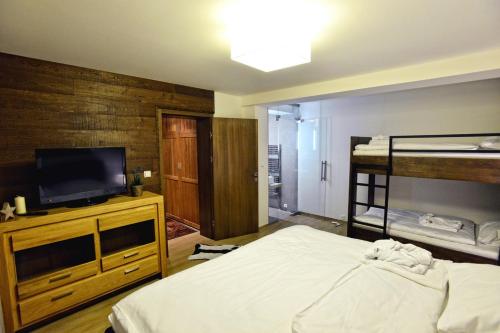 a bedroom with a bed and a flat screen tv at Luxury Wellness Apartment in Rokytnice nad Jizerou