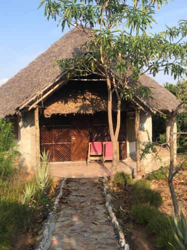 Explore Mara Camp – Photos 3
