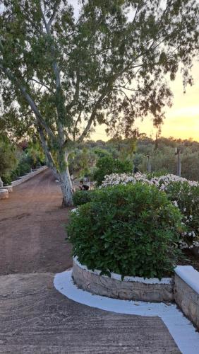 a park with a tree and a bush with flowers at Βlueview in Ermioni