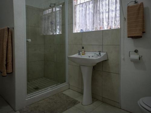 a bathroom with a sink and a shower at 18 on Mark in Willowmore