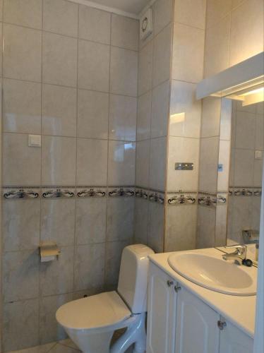 a bathroom with a toilet and a sink at 1St Floor Oasis - Parking/WiFi in Stavanger
