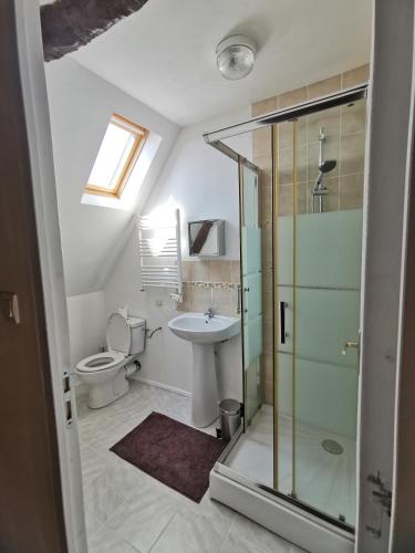 ein Bad mit einer Dusche, einem WC und einem Waschbecken in der Unterkunft JOLIE MAISON DE VILLAGE in Mégrit