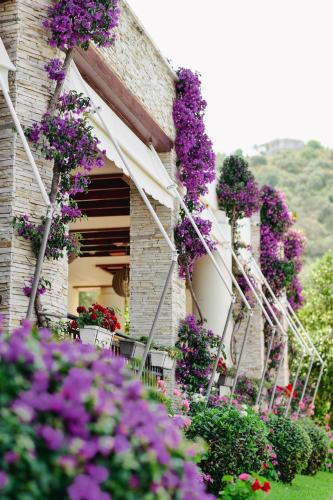a building with purple flowers on the side of it at Rapo's Resort Hotel in Himare