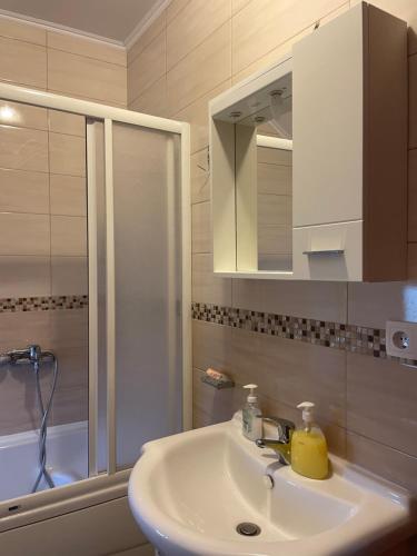 a bathroom with a sink and a shower and a mirror at Mariner House in Plav