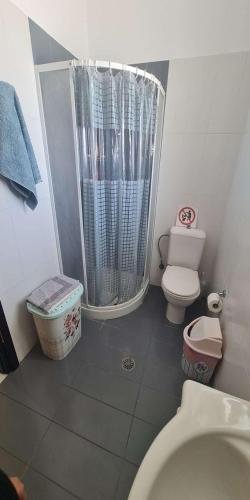 a small bathroom with a toilet and a shower at Retas apartment in Kremasti