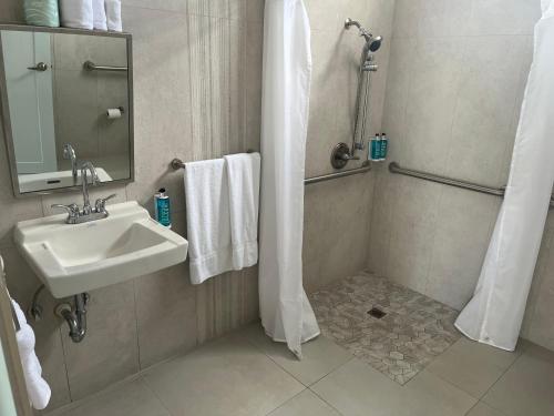 La salle de bains est pourvue d'un lavabo et d'une douche. dans l'établissement Red Flamboyan Guesthouse and Restaurant, à Rincon