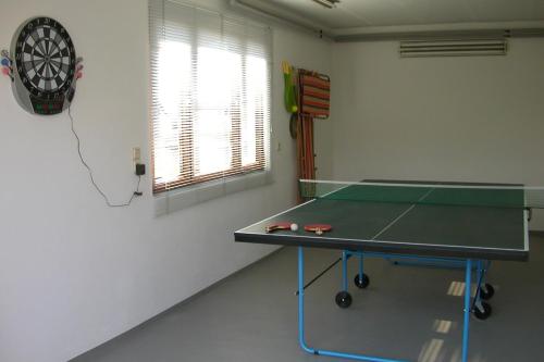 a room with a ping pong table in it at Ferienhaus Hummel-Nest in Laußnitz