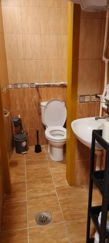 a bathroom with a white toilet and a sink at APARTMAN ART in Zvezdara