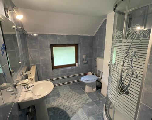 クンプルング・モルドヴェネスクにあるPensiunea Lilianaのバスルーム(洗面台、トイレ、シャワー付)