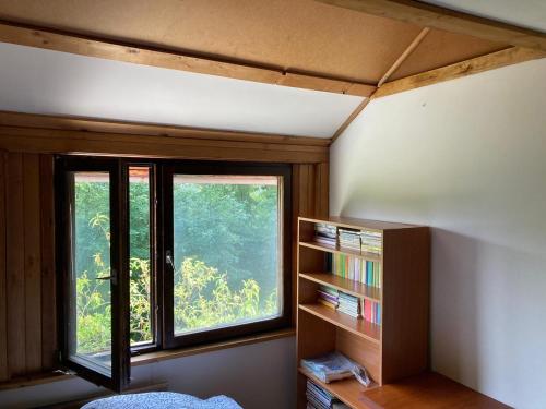 a bedroom with a window and a book shelf at Glampspace - Wikingówka in Międzybrodzie Bialskie