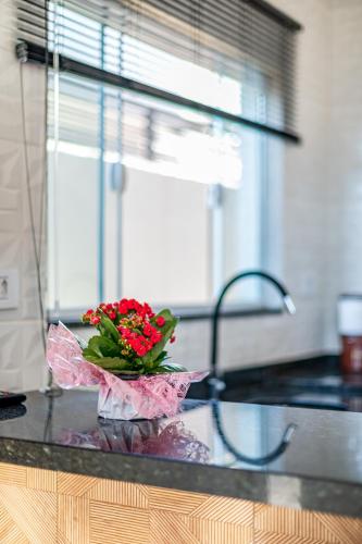 a bouquet of red flowers sitting on a kitchen counter at Pousada Casa da Cidinha in Extrema