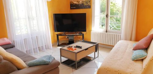 a living room with a couch and a tv at Cœur de ville, 6 chambres, garage et jardin in Digne-les-Bains