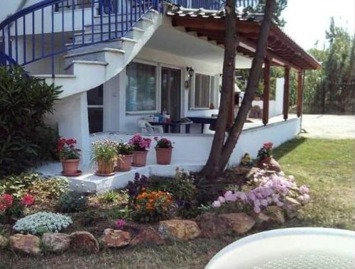 a house with a bunch of potted plants in a yard at ALMADOL HOUSE Chalkidiki Τρυπητή Χαλκιδικής in Nea Roda