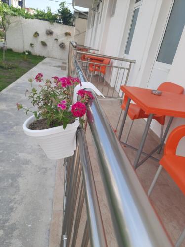 a potted plant on the railing of a balcony at VILA PUSHIMI REGIS in Velipojë