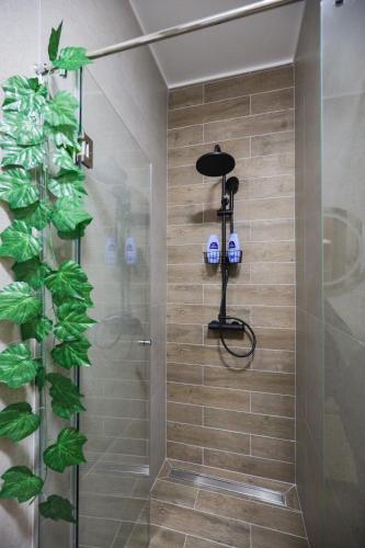 a shower with a glass door and a plant at ETA 2 APARTMENT in Palić