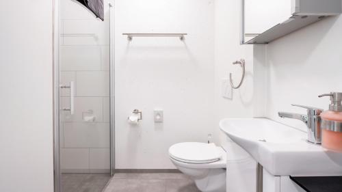 a white bathroom with a toilet and a shower at Anstatthotel Goldau - self-check-in in Goldau