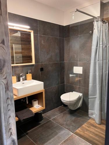 a bathroom with a toilet and a sink and a shower at Penzion Farma Žleby in České Žleby