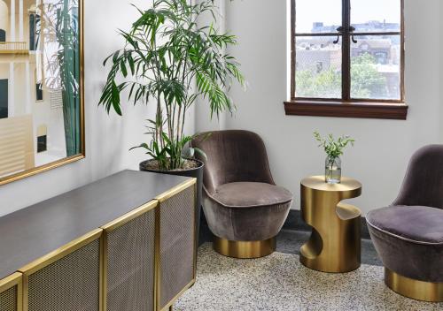 Un lugar para sentarse en The Darling