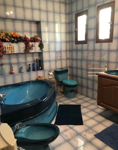 une salle de bain avec une baignoire, des toilettes et un lavabo dans l'établissement Location saisonnière villa Lauris, à Lauris