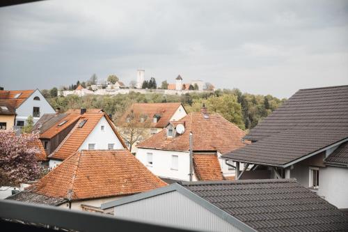 uitzicht op daken van huizen in een stad bij Apartment mit Burgblick in Burglengenfeld
