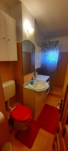a small bathroom with a toilet and a sink at ARANGO House in Făgăraş