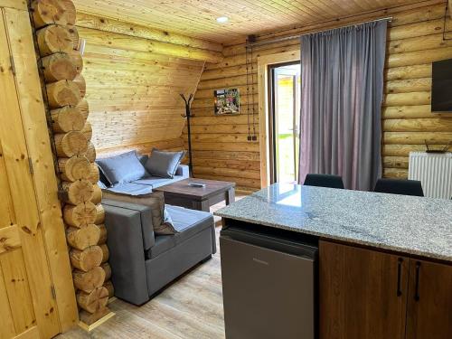 a log cabin with a living room with a couch at Eco House Borjomi in Borjomi