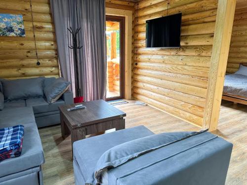 salon z kanapą i telewizorem w drewnianym domku w obiekcie Eco House Borjomi w Bordżomi