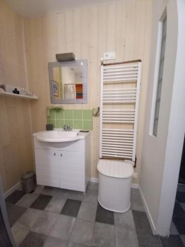 La salle de bains est pourvue d'un lavabo, de toilettes et d'un miroir. dans l'établissement Chez Anne, à Rennes