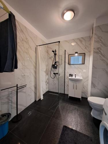 ein Bad mit einer Dusche, einem WC und einem Waschbecken in der Unterkunft Apartament Kryształowy in Stettin