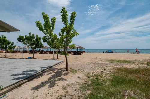 a tree on a beach with people in the water at Viny Apartment in Paralia Dionysiou