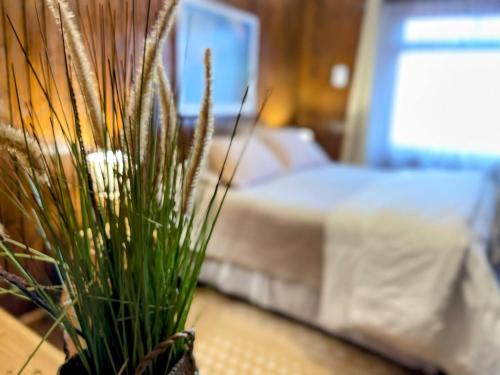 Gallery image of Hostal Marítima Coronel in Coronel