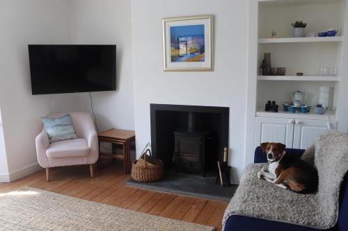 a dog laying on a couch in a living room with a fireplace at Sealladh Na Mara, Pittenweem in Pittenweem