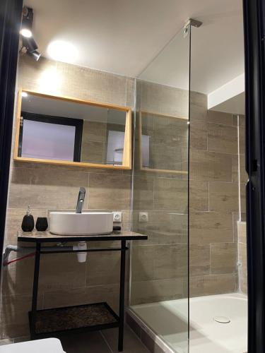 une salle de bain avec un lavabo et une douche dans l'établissement Les Flo location, à Aigues-Mortes